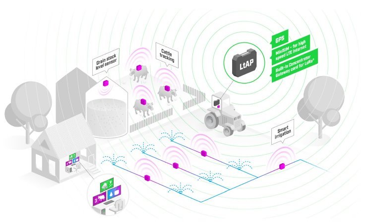 LtAP-2HnD&FG621-EA&LR8G